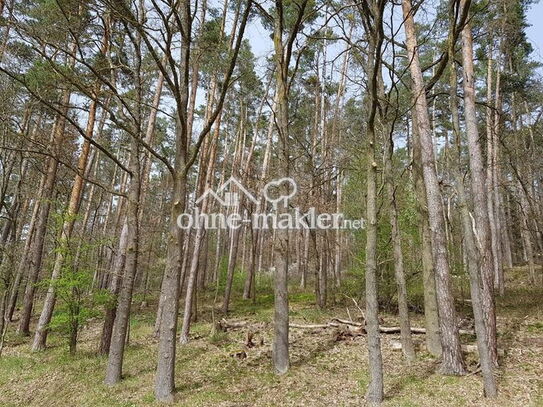 Wald zwischen Veitsaurach und Rudelsdorf zu verkaufen!