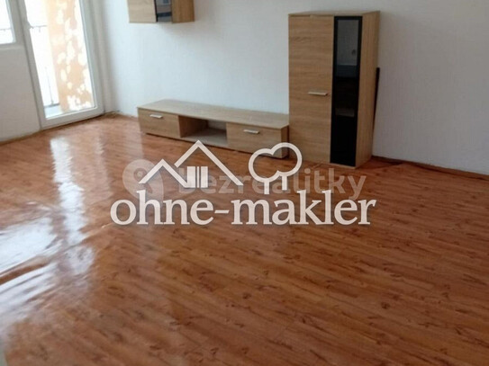 Pronájem bytu 1+1 42 m²