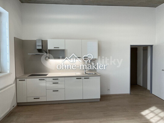 Pronájem bytu 1+kk 44 m²