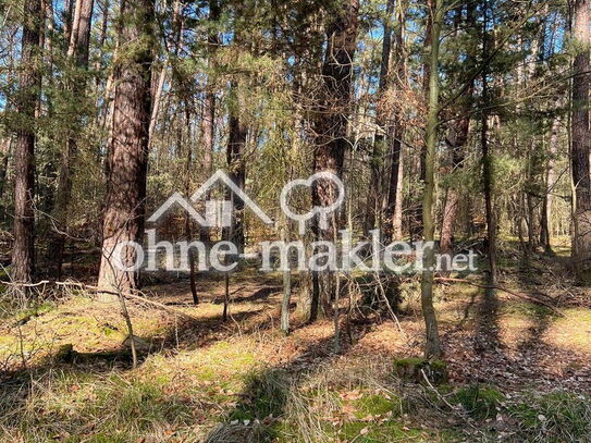 Grundstück Ackerland Wald Grünland Wiese Ausgleichsfläche Brennholz