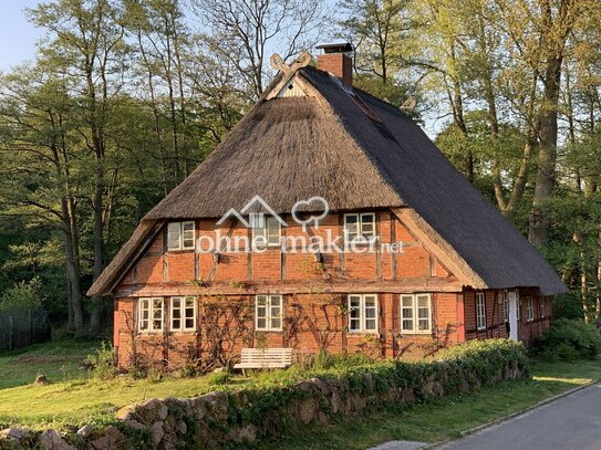 Reetdachhaus mit Potenzial * Teichblick *