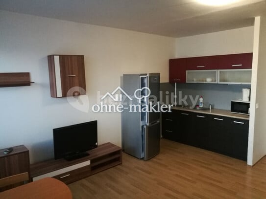 Pronájem bytu 1+kk 36 m²