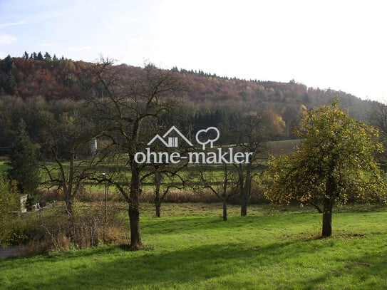 Traumhaftes Sahnegrundstück mit Panoramablick