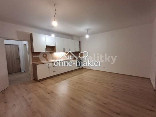 Pronájem bytu 1+kk 48 m²