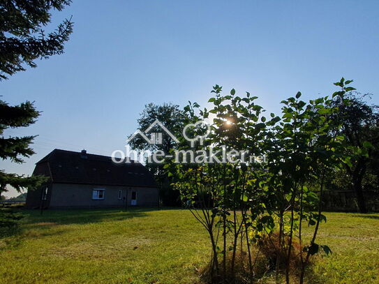 Stadtnahes Bauernhaus ca. 4000m² Grundstück, Garagen Einfamilienhaus Bauernhof bei Pinnow Schwerin