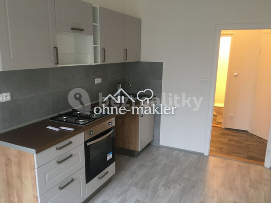 Pronájem bytu 1+1 43 m²