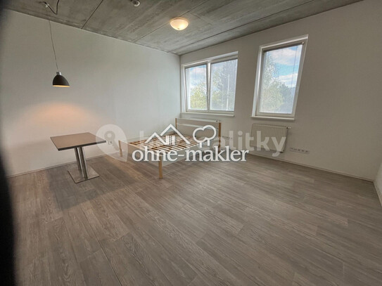 Pronájem bytu 1+kk 45 m²