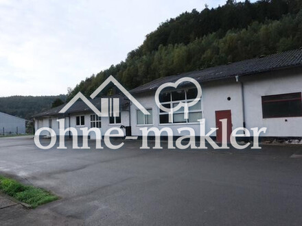 66976 Hallen, verkehrsgünstig, 152qm + 100qm für Lager / Produktion / Handwerk in Rodalben