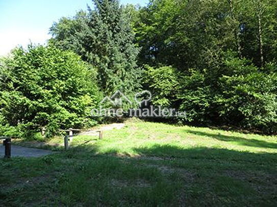 Waldesch 880m² Bauland auf 2432m² Flurstück, gesamt 8326m², Ortsrand, Wald, Bach, unverbaubar