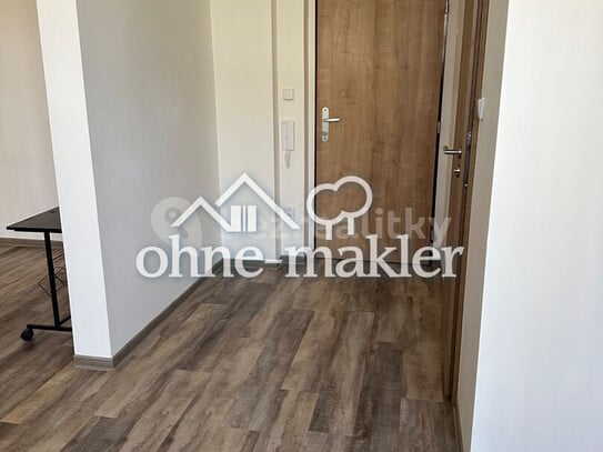 Pronájem bytu 1+kk 38 m²