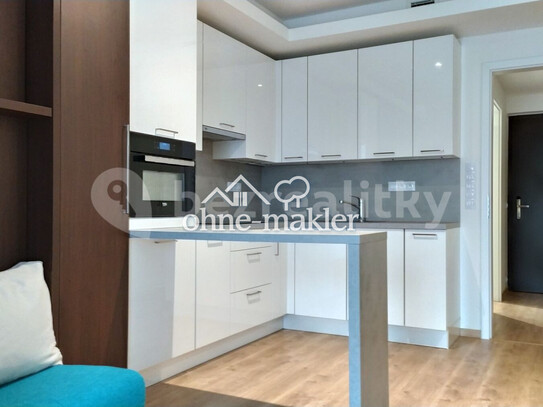 Pronájem bytu 1+kk 34 m²