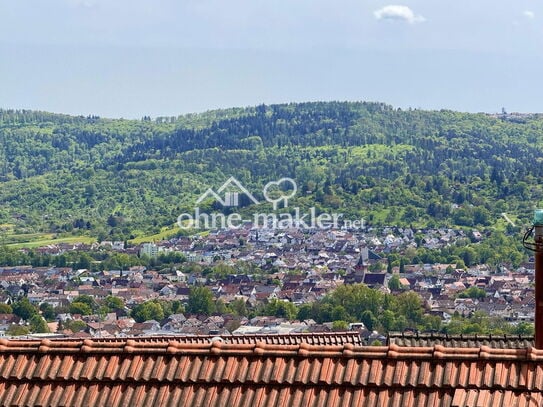 Traumhafte Wohnung mit Aussicht und großer Terrasse, Kernsanierung 2024,