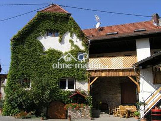 2-Zimmerwohnung mit großer Terrasse in Mommenheim