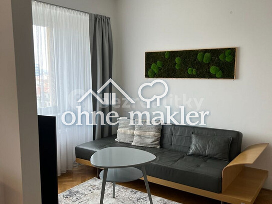 Pronájem bytu 2+kk 66 m²