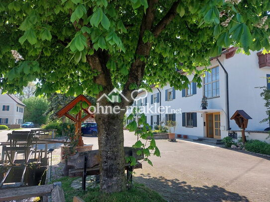 3.5 Zimmer Wohnung komplett Saniert in Scheuring