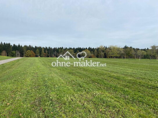 Ebenes, ruhiges Baugrundstück in zentraler Lage in Herzogsweiler