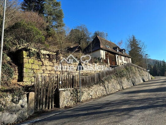 Gefühlte Alleinlage - Grundsanierung oder Villenbauplatz