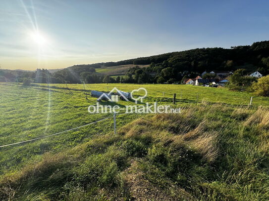 1A Baugrundstück Grundstück Panorama Aussicht in 67808 Ransweiler