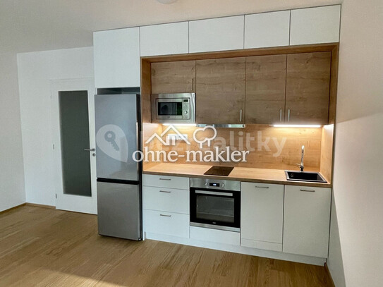 Pronájem bytu 1+kk 35 m²