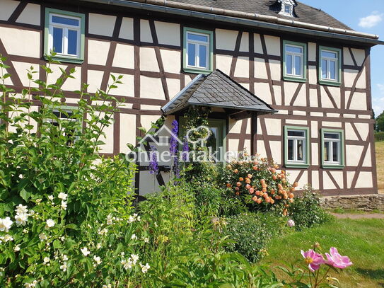 Dreiseitenhof mit saniertem Haupthaus, separatem Ferienhaus und großer Scheune