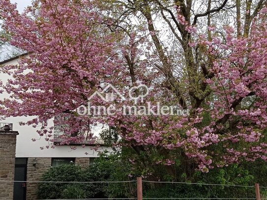 PREISSENKUNG !Naturnahes Einfamilienhaus mit separater Einliegerwohnung