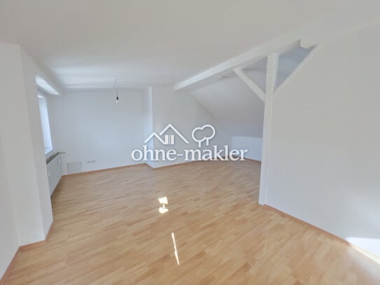 Stadt-Apartment: HELL, RUHIG & ZENTRAL (=> 5 min Jahnplatz)