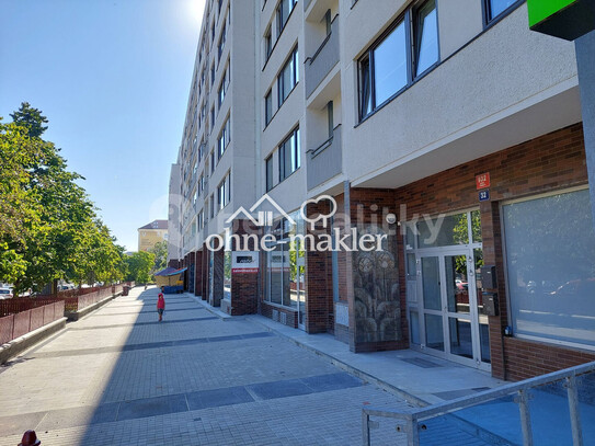 Prodej bytu 2+1 65 m²