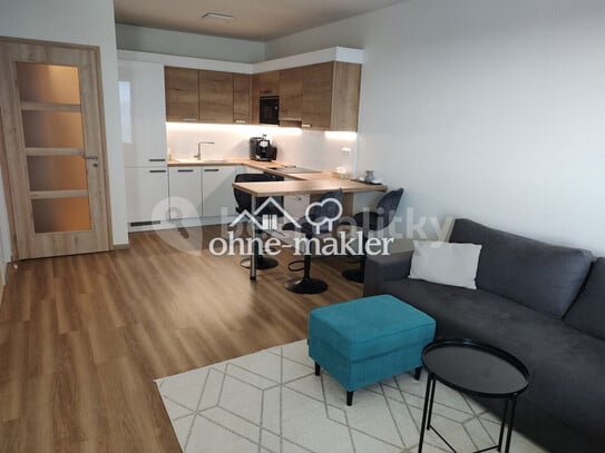 Pronájem bytu 1+kk 51 m²