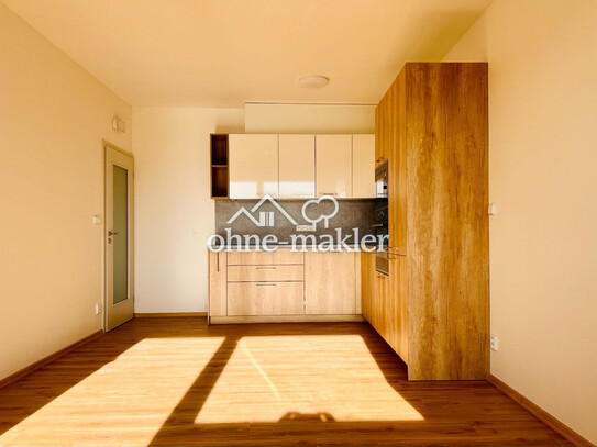 Pronájem bytu 3+kk 65 m²