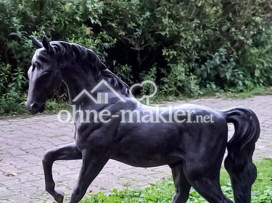 Wunderschöner Pferdehof in ruhiger, entspannter Lage