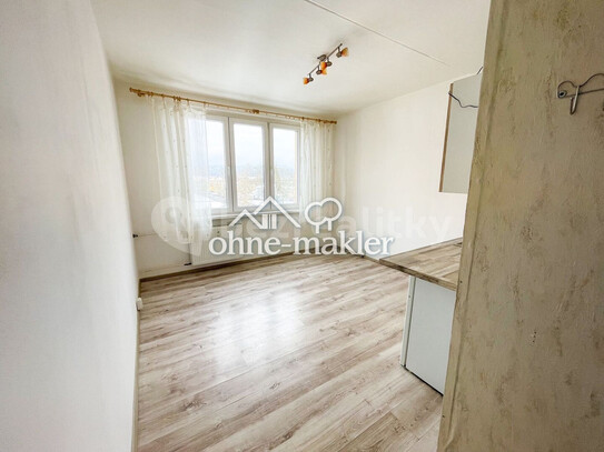 Prodej bytu Garsoniéra 16 m²