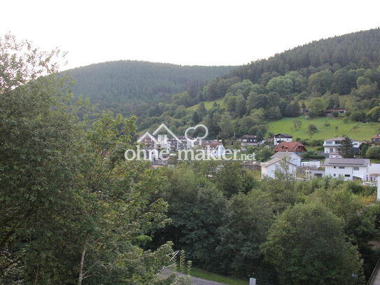 Neubau-Moderne Häuser in Bad Wildbad, profisionsfrei!