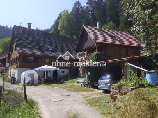 PROVISIONSFREI: Restbauernhof mit Bauernhaus + Ferienhaus + großes Grundstück