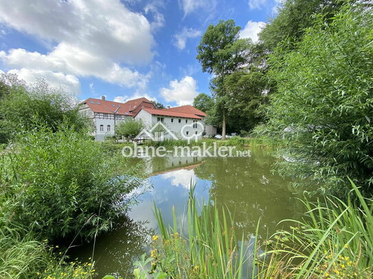 Helles 2-Zimmer Apartment mit einmaligem Ausblick in Braunschweig