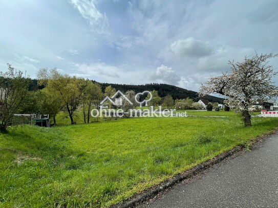 Baugrundstück, 78661 Dietingen OT Rotenzimmern