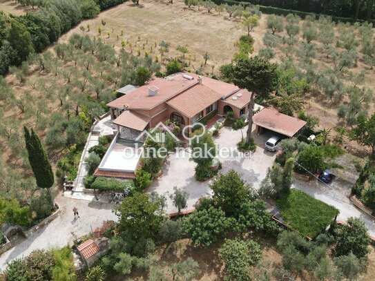 Landhaus mit Olivenbäumen in der Toskana, mit Meerblick, nahe Dorf