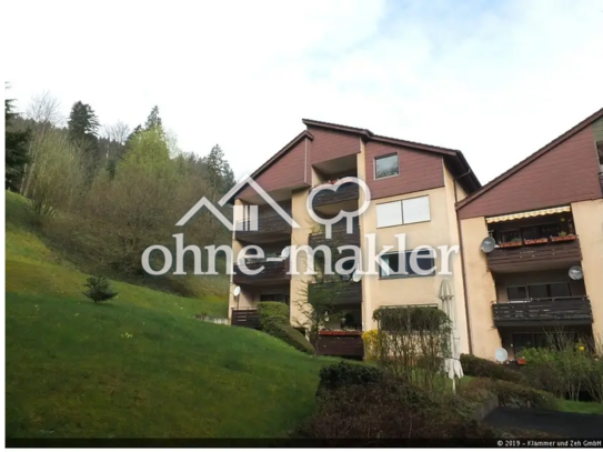 1-Zimmer Apartment mit Blick auf Schwarzwald