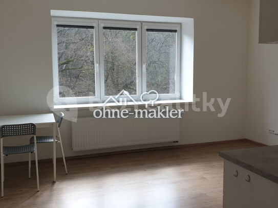 Pronájem bytu 24 m²