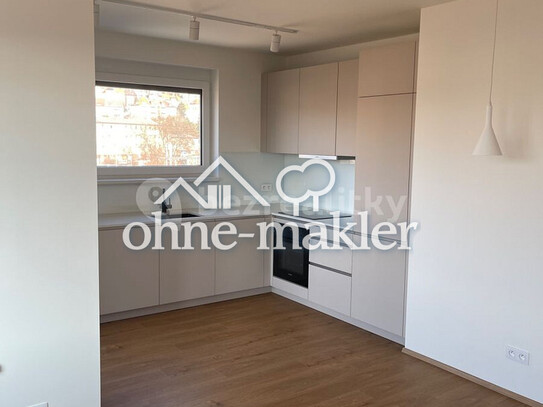 Pronájem bytu 2+kk 54 m²