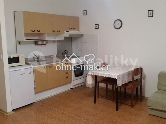 Pronájem bytu 1+kk 33 m²