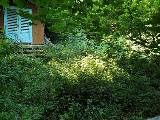 Ruhiges Kleingartengrundstück am Waldrand