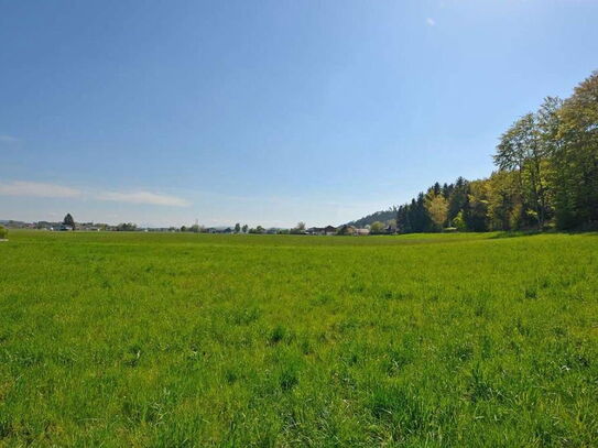 Attraktiver Baugrund in Pfaffstätt bei Mattighofen