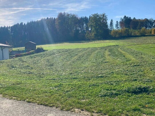 Ruhiger Baugrund am Rande Wieselburgs - perfekte Lage