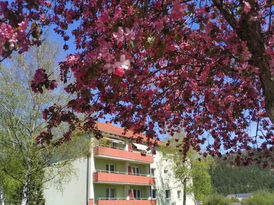 Schöne 2 Zimmerwohnung mit traumhaften Ausblick und großer Loggia