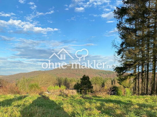 Exklusives Baugrundstück in Königsberg-Biebertal mit Panoramablick