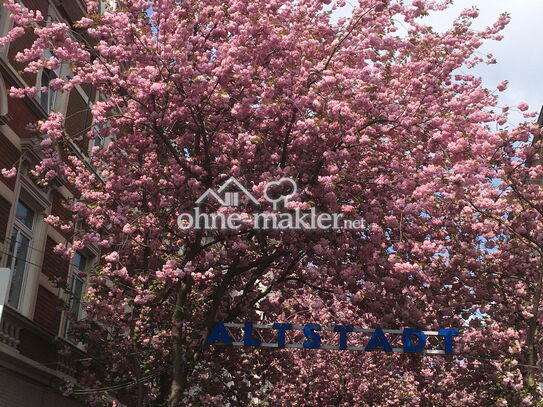 Ruhige, gepflegte 3-Zimmer EG-Wohnung mit Terasse im Herzen Altstadt Bonn