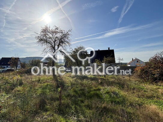 Idyllisches Grundstück für Einfamilien- Doppel- oder Mehrfamilienhaus