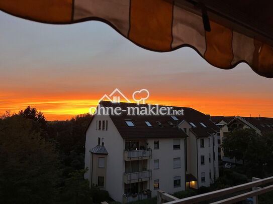 3-Zimmer-ETW mit sehr schönen Aussichten und Sonnenuntergängen in MA-Rheinau-Süd