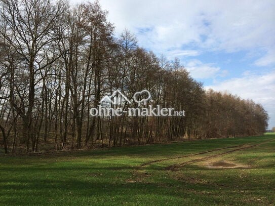 Waldgrundstücke und Gewässer bei Leipzig - Wald - Forst - Angelgewässer - Privatwald - Waldfläche