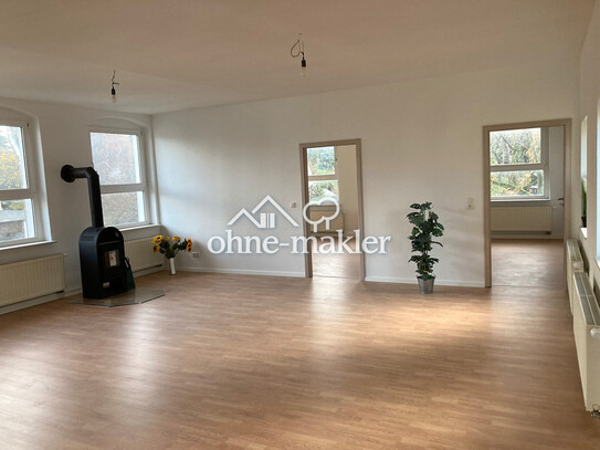 4 Raum Wohnung, Kaminofen, Balkon, 120 m2 1.OG, mitten in ZR , Gemeinschaftsgarten